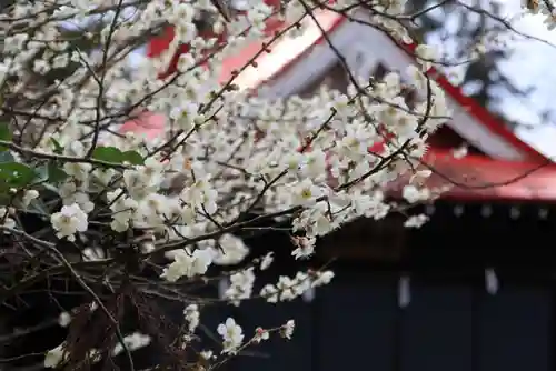 豊景神社の自然