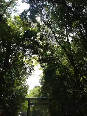 伊勢神宮内宮（皇大神宮）(三重県)