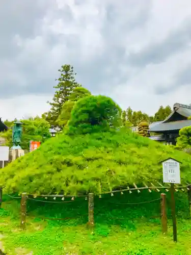 大聖寺（土浦大師不動尊）の庭園