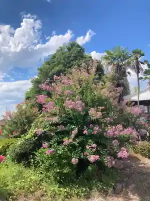 延命寺(埼玉県)