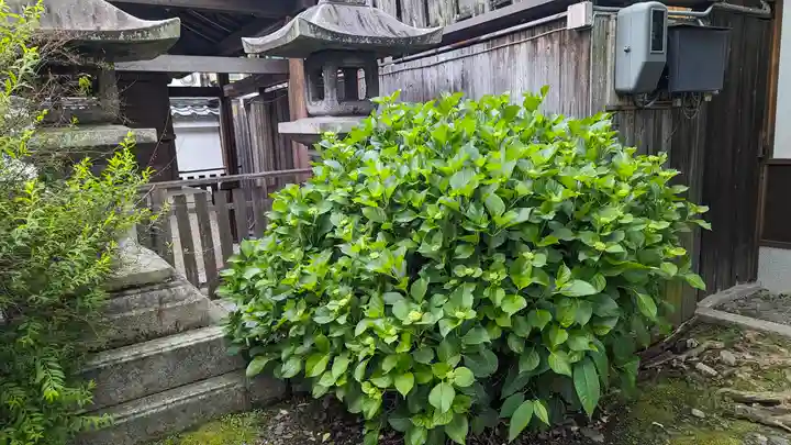 下御霊神社(京都府)
