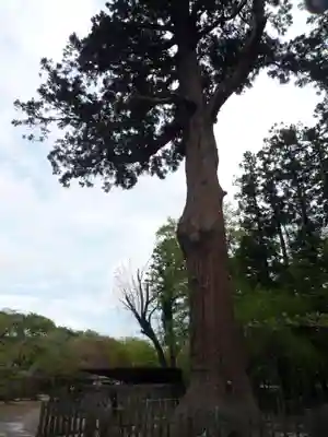 弘経寺(茨城県)