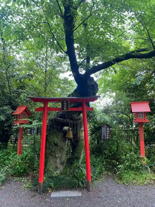 冠稲荷神社(群馬県)