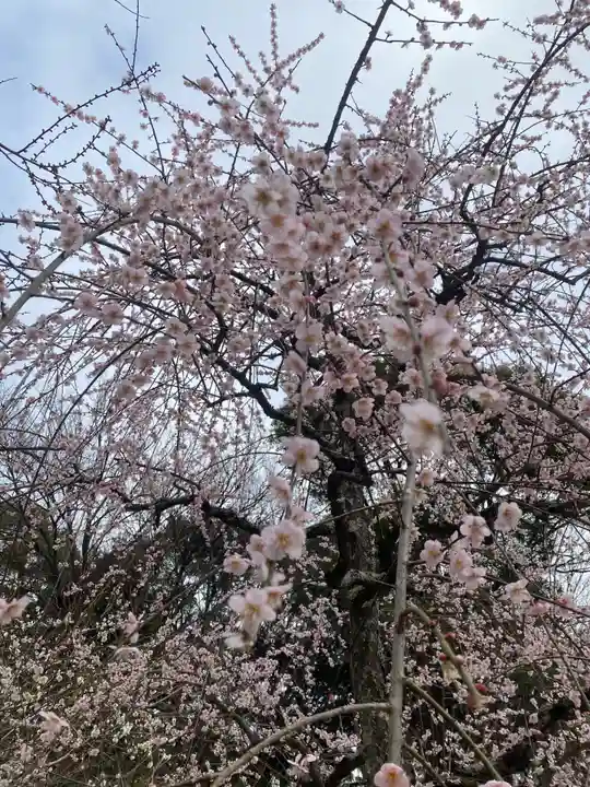 岩津天満宮(愛知県)