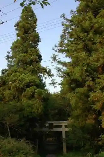 井伊神社の自然