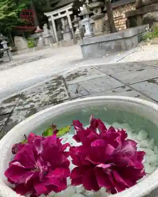 立志神社(滋賀県)