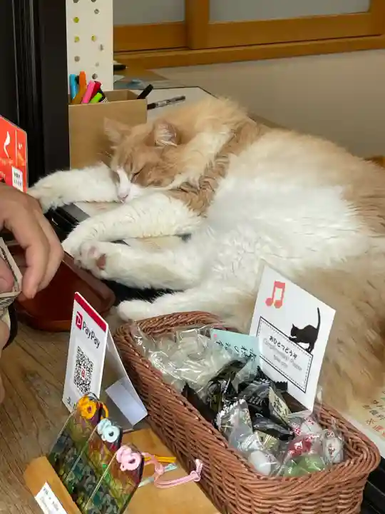 駒込妙義神社(東京都)