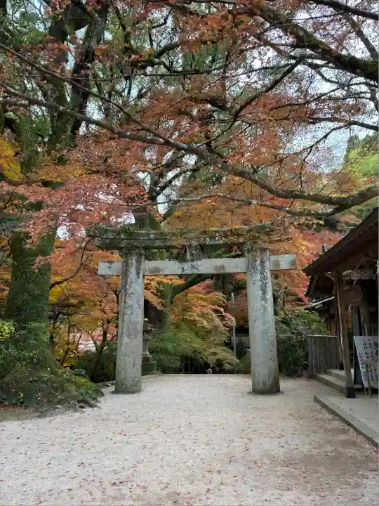 仁比山神社(佐賀県)