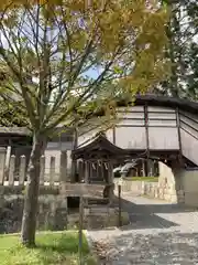 住吉神社の自然