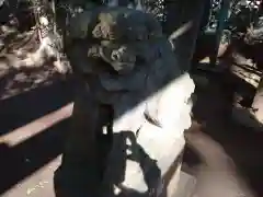 七百餘所神社 の狛犬