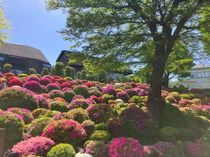 根津神社の御朱印