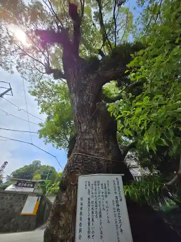 湯前神社(静岡県)