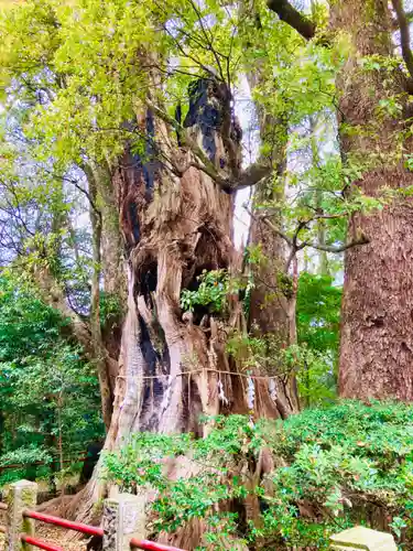 神崎神社(千葉県)