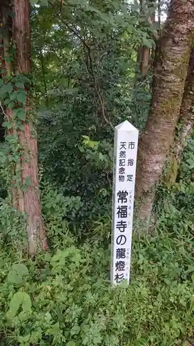 赤井嶽薬師 常福寺の自然