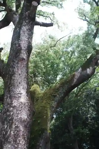 伊弉諾神宮(兵庫県)