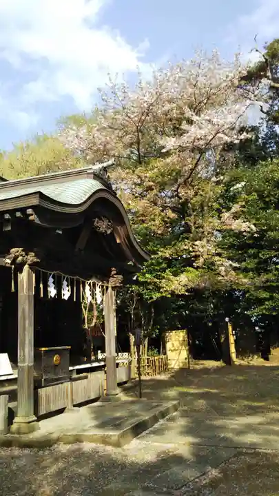畑子安神社の本殿・本堂