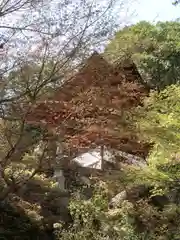 長命寺の自然