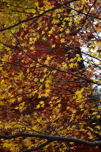 談山神社(奈良県)