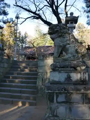 大井俣窪八幡神社の狛犬