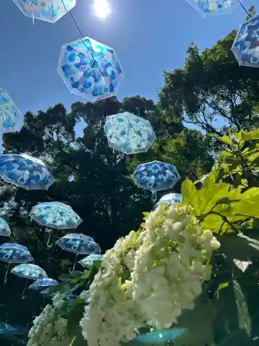 柳谷観音　楊谷寺(京都府)