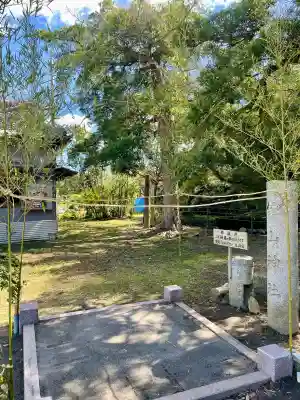 館山神社(千葉県)