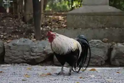 熱田神宮(愛知県)