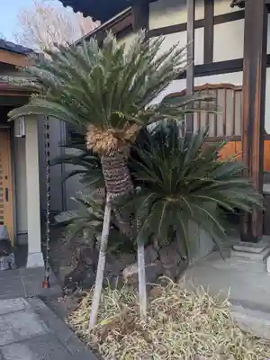瑞松院(東京都)