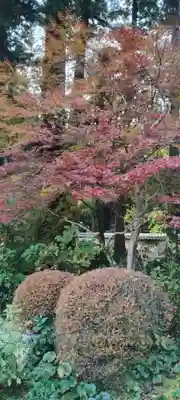 龍潭寺(静岡県)