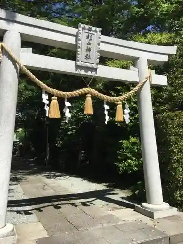 星川杉山神社の鳥居