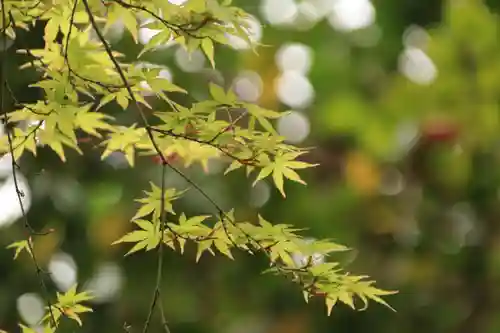 立鉾鹿島神社の自然