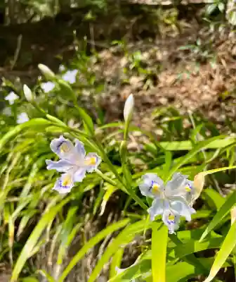 開道石割稲荷神社(山梨県)