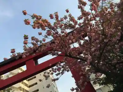亀戸天神社の鳥居