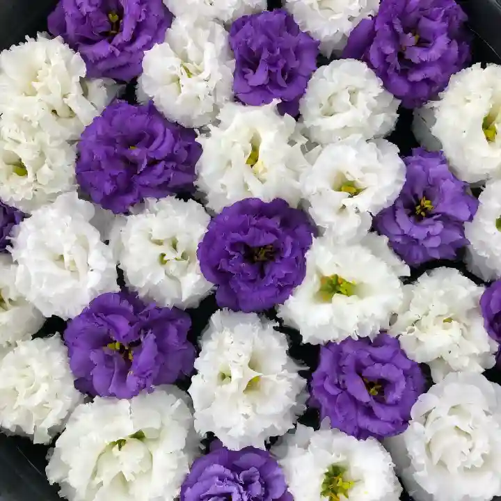 鹿島台神社の手水舎