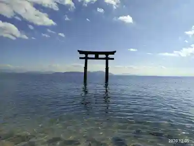 白鬚神社の鳥居
