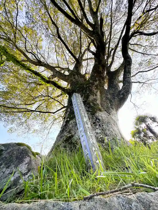 三嶽神社(京都府)