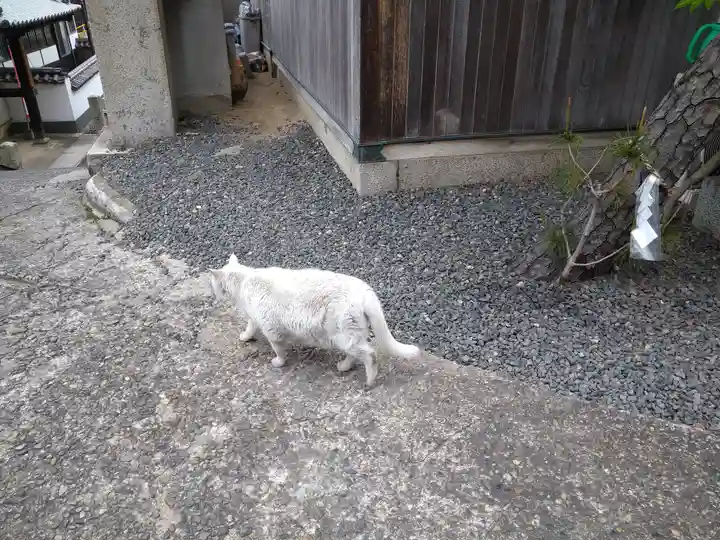 羽黒神社の動物