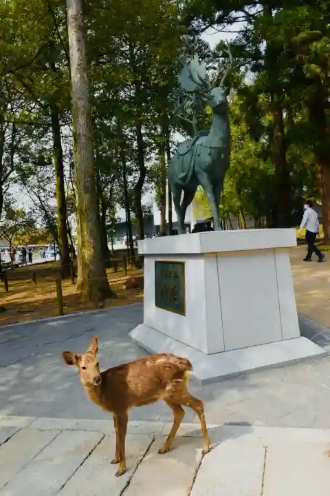 春日大社の{uncategorized: "未分類", other: "その他", undefined: "問題あり", building: "その他建物", grave: "お墓", sacred_gate: "鳥居", guardian: "狛犬", statue: "像", buddha: "仏像", history: "歴史", nature: "自然", garden: "庭園", animal: "動物", pagoda: "塔", temizu: "手水舎", mountain_gate: "山門・神門", sanctuary: "本殿・本堂", subordinate: "末社・摂社", art: "芸術", scenery: "景色", jizo: "地蔵", ema: "絵馬", goshuin: "御朱印", omikuji: "おみくじ", items: "授与品その他", amulet: "お守り", goshuincho: "御朱印帳", eats: "食事", festival: "お祭り", votive_dance: "神楽", shichigosan: "七五三参", wedding: "結婚式", experience: "体験その他", initially: "初詣", around: "周辺", anti_infection: "感染症対策"}