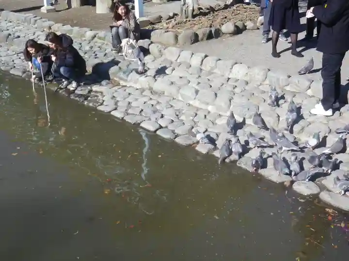 鶴岡八幡宮のその他建物