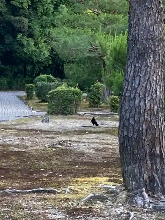 明治天皇伏見桃山陵(京都府)