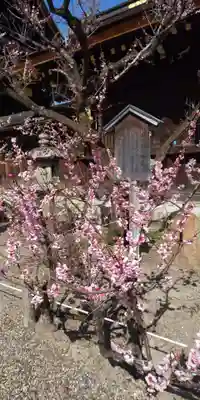 北野天満宮(京都府)