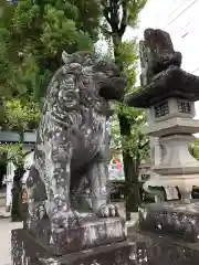 飛騨天満宮の狛犬