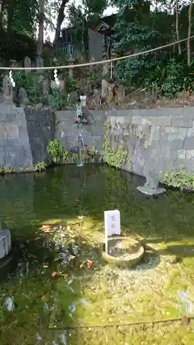 瀧泉寺（目黒不動尊）の自然