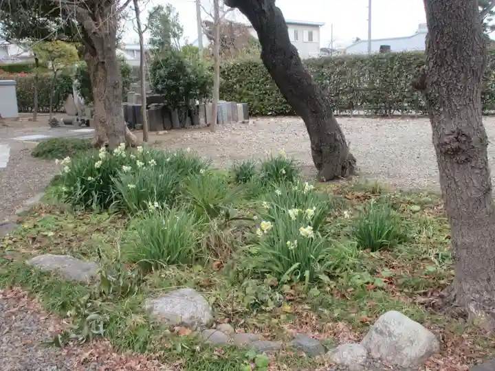 常福寺(東京都)