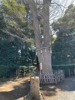 長宮氷川神社(埼玉県)