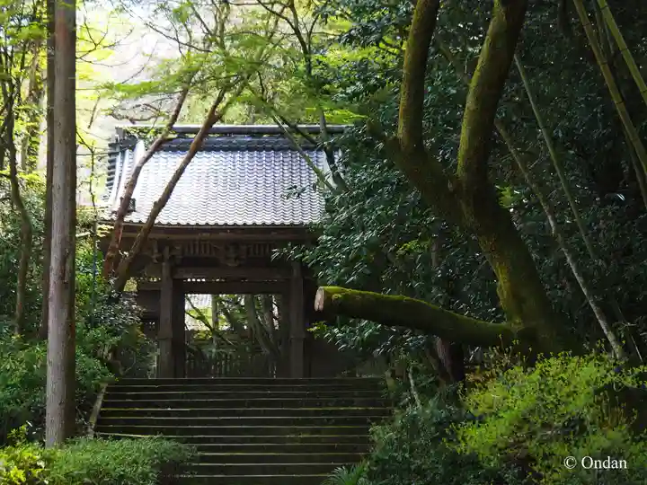 龍潭寺(滋賀県)