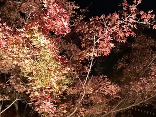 東漸寺(千葉県)