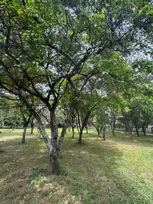 北辰神社(兵庫県)