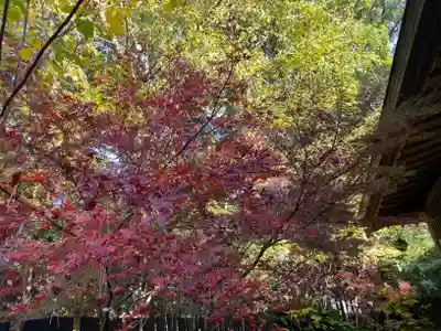 平塚八幡宮(神奈川県)