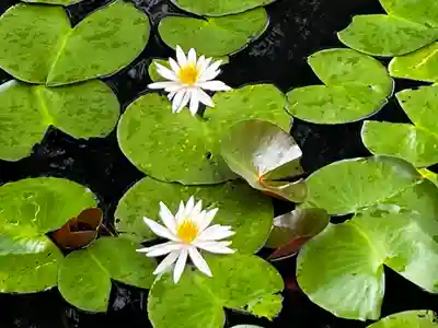 高野山金剛峯寺(和歌山県)