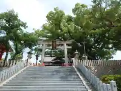 百舌鳥八幡宮(大阪府)